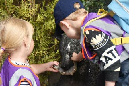 Petting Zoo