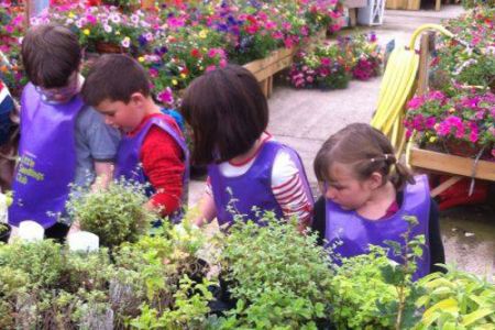 Garden Centre