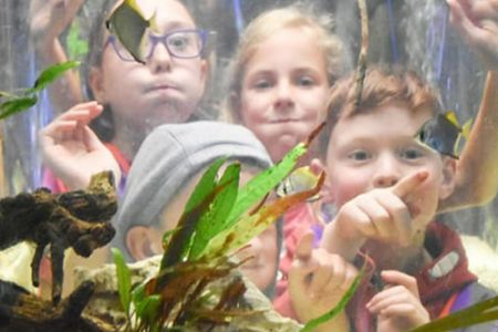 Aquarium